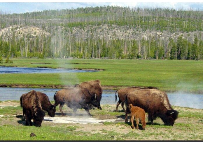 Screenshot_20260228_082203_Chrome