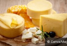 Sir kao lijek protiv demencije