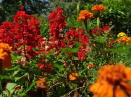 Pretežno sunčano i toplo vrijeme, temperatura do 24°C
