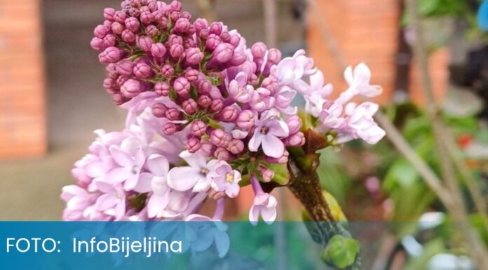 Screenshot_20251103_100449_Samsung Internet