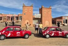 Stojadin na putu za Afriku