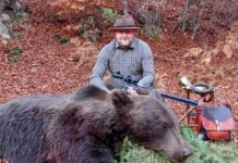 Kod Busovače odstreljen medvjed