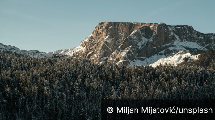 Screenshot_20251104_133033_Chrome