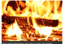 Najkvalitetnije drvo za ogrjev