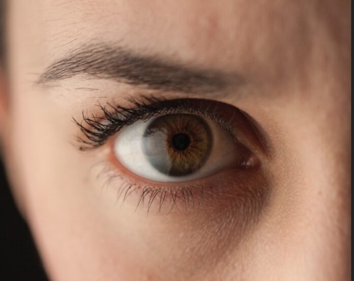 Screenshot_20251107_075639_Chrome