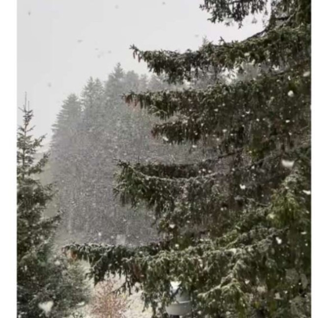 Screenshot_20251107_131723_Chrome