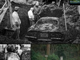 Ferrari – od prevare do novog sjaja